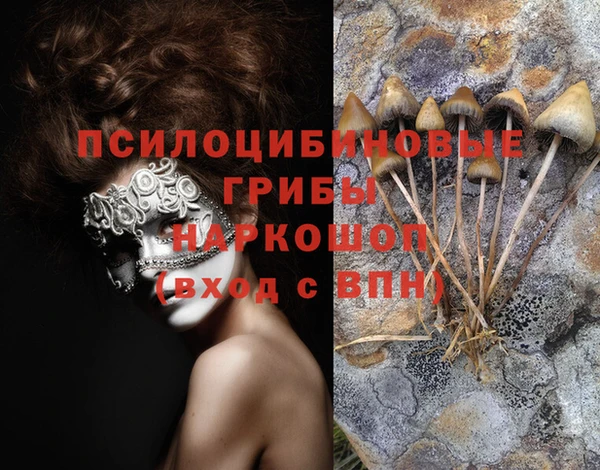 мяу мяу кристалл Алексин