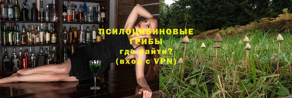 spice Алексеевка