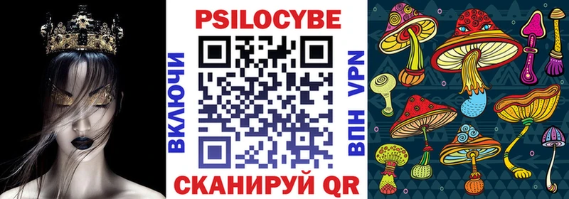 магазин продажи наркотиков  Ачхой-Мартан  hydra ссылки  Галлюциногенные грибы Cubensis 